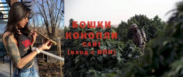 тгк Пестово