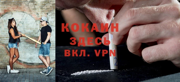 тгк Пестово