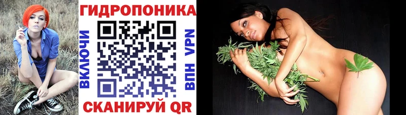 Шишки марихуана White Widow  OMG онион  Артёмовский  купить наркоту 